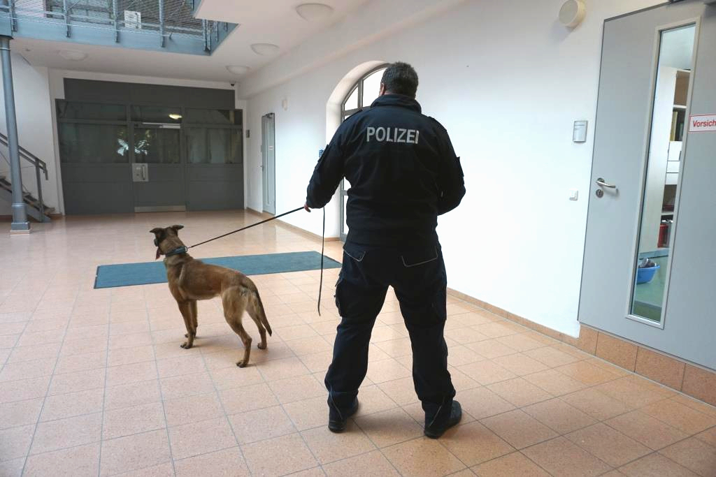 Drogenspürhund der Polizei im Einsatz in der JVA Bützow